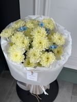 Букет из хризантемы в сливочном оттенке и оксипеталума