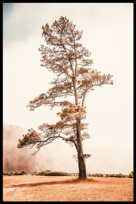 Интерьерная картина в технике цифровой печати. АРТ 070 Природа