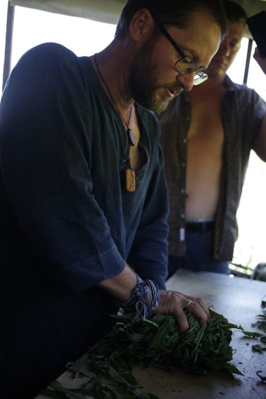 Друзья, сегодня праздник — День травника