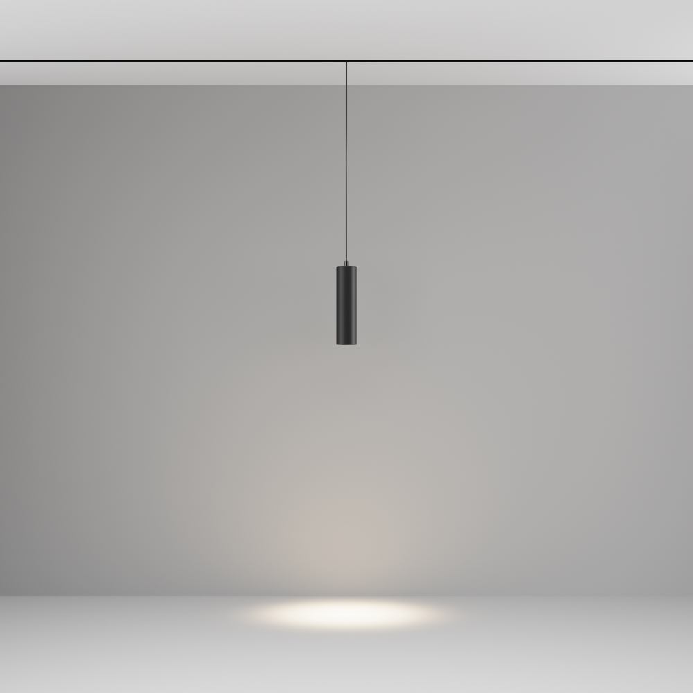 Магнитный трековый светильник Maytoni Focus LED TR041-2-12W4K-B