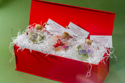 Набор Лето в льдинке