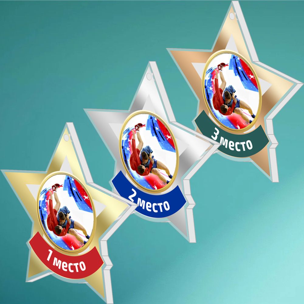 Акриловая медаль Самбо 1728