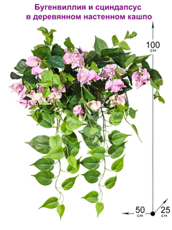 Бугенвиллия и сциндапсус в деревянном настенном кашпо
