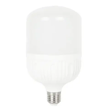 Лампа светодиодная 40Вт Е27 6500K