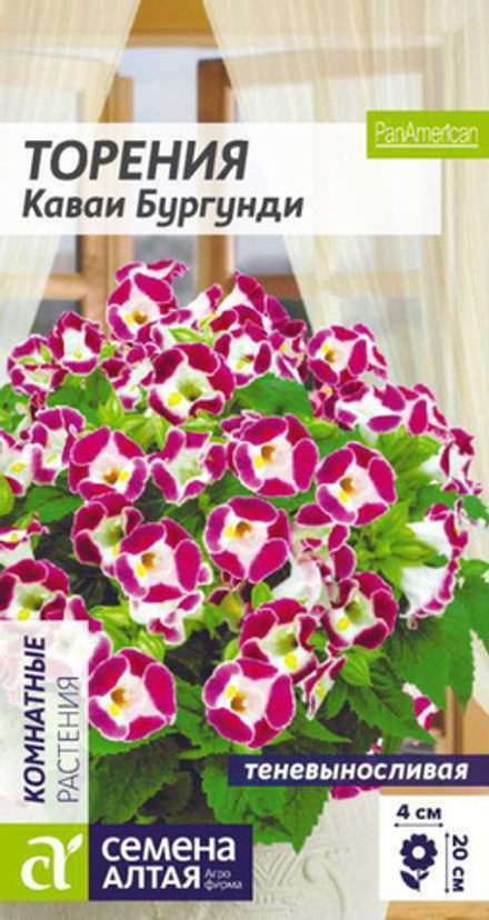 Торения Каваи Бургунди/Сем Алт/цп 5 шт. КОМНАТНЫЕ РАСТЕНИЯ