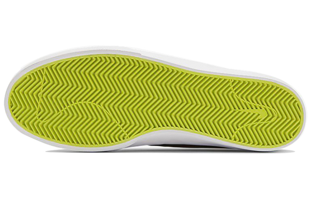 Кроссовки Nike Sb Shane