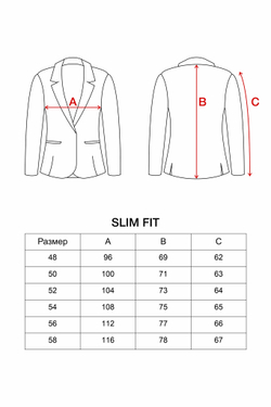 SLIM2