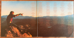 Виниловая пластинка Stephen Stills – Stephen Stills 2 LP