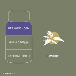 Диффузор ароматический 100мл Ambientair Enchanted Forest Eль