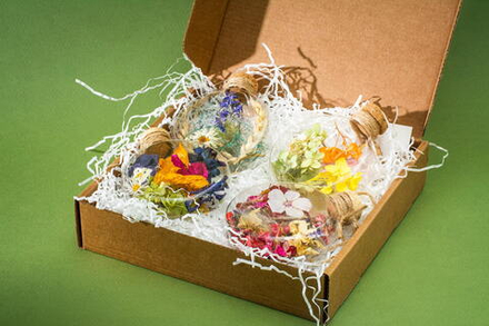 Набор Красочный