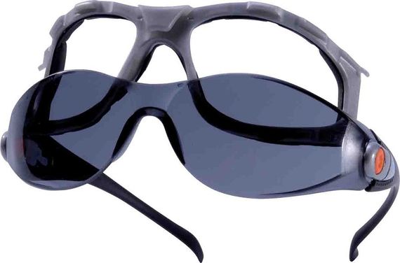 Открытые защитные очки Delta Plus PACAYA SMOKE LYVIZ PACAYLVFU