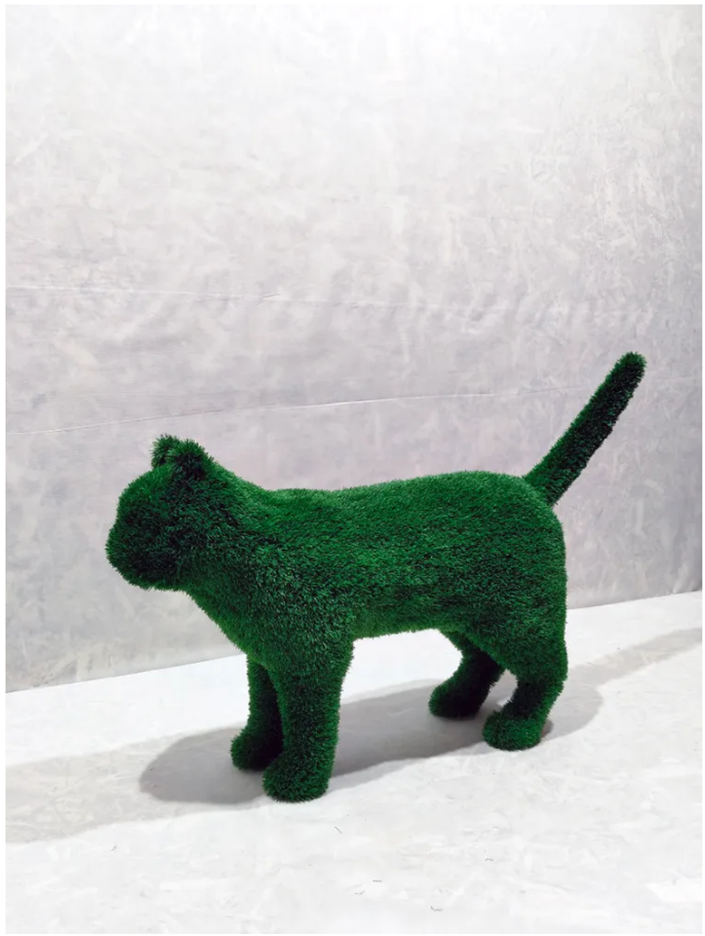 Кот "Котофей"