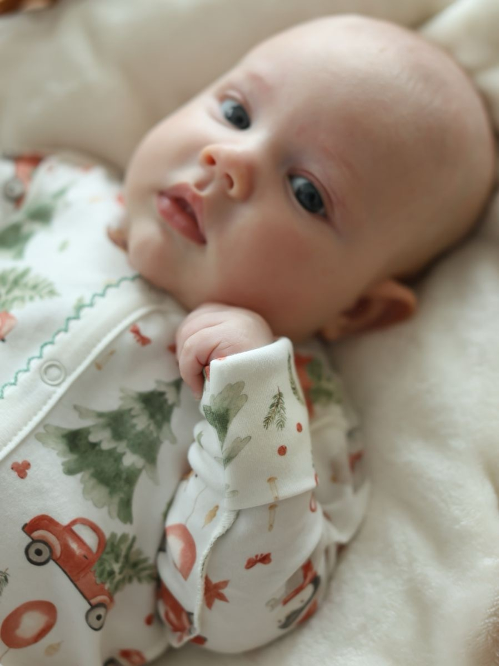 Комбинезон на кнопках "Пингвины и елочки "