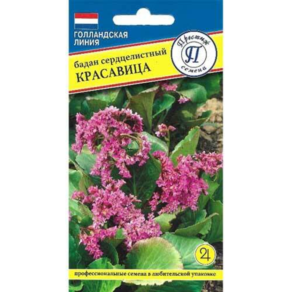 Бадан сердцелистный Красавица 10шт.