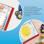 Папка 60 вкладышей BRAUBERG стандарт бордовая 0 8 мм (4 штуки в упаковке)