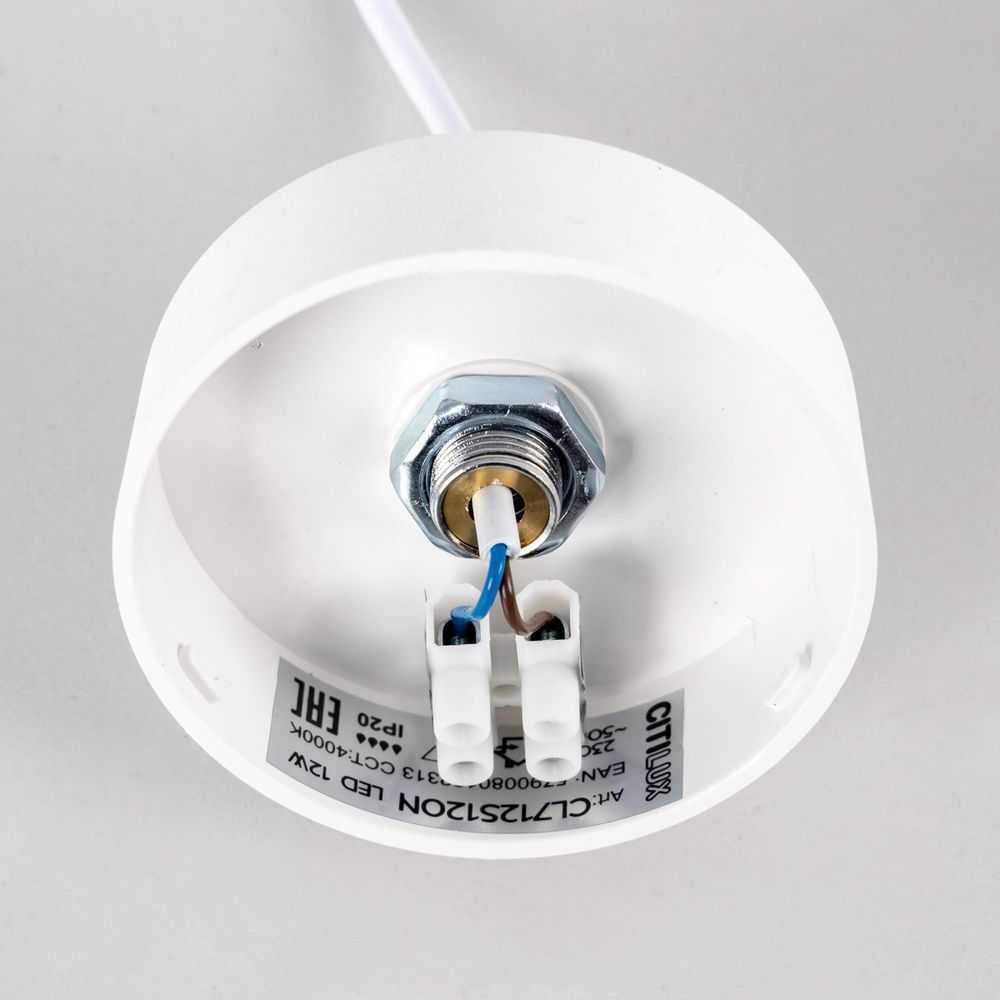 Citilux Тао CL712S120N LED Подвесной светильник с диммером