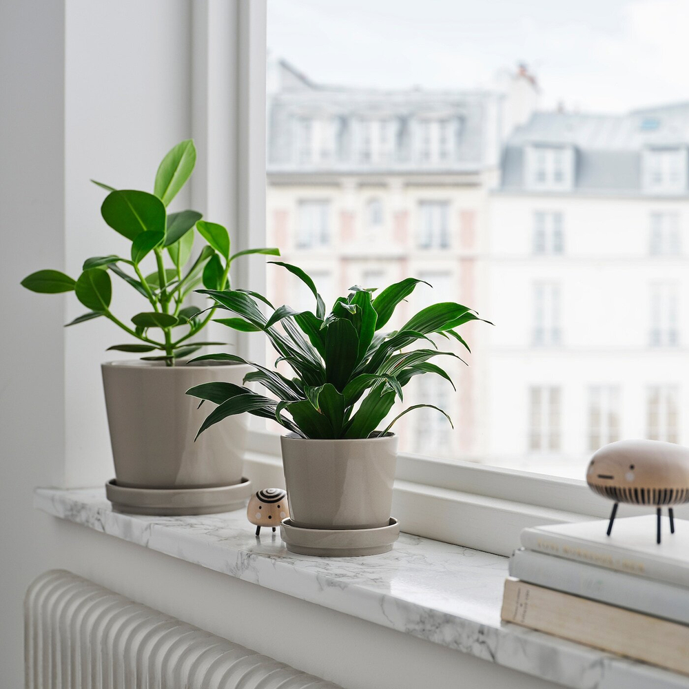 Горшок для растений с поддоном IKEA KLOTLONN (КЛОТЛЕНН), Серо-бежевый, 9 см