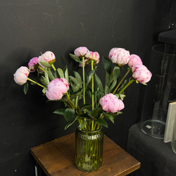 Пион розовый / 1 шт