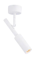 20116 SWT (1/20) Светильник (RL)