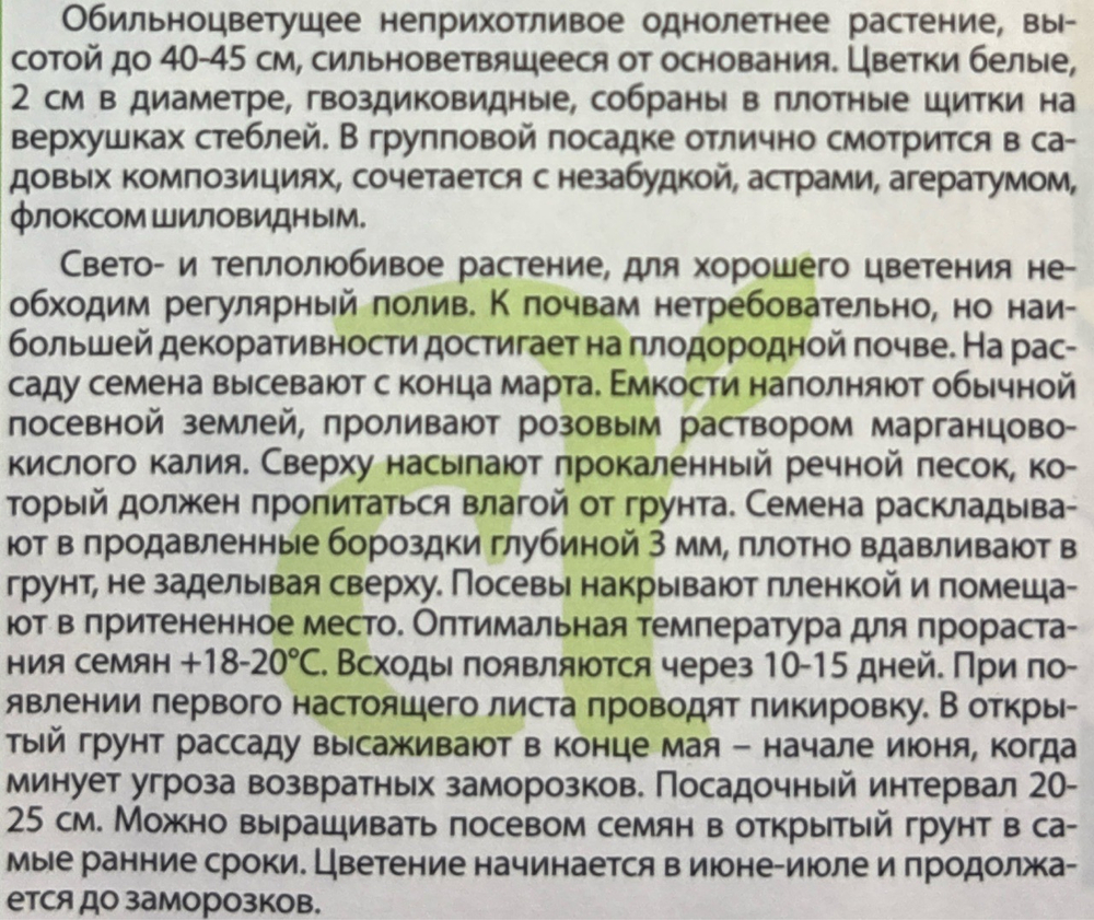 Флокс Друммонда Белое море 0,1 г СМЦ-272