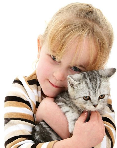 Аллергия на животных. Как подобрать домашнего питомца? Аллергия на животных. Как подобрать домашнего питомца?