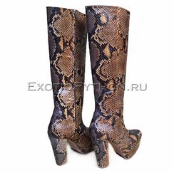 Сапоги из кожи питона SH-113