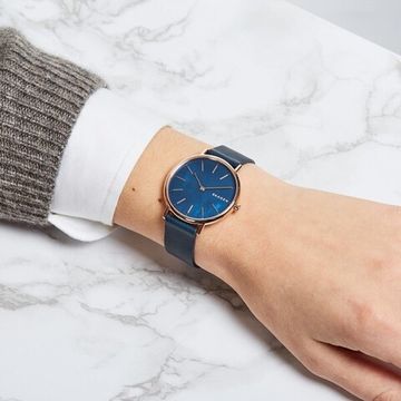 Женские часы Skagen SKW2731