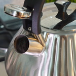 Чайник 3л нерж со свистком, с ручкой "soft touch"