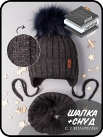 Шапка зимняя для мальчика на завязках и снуд