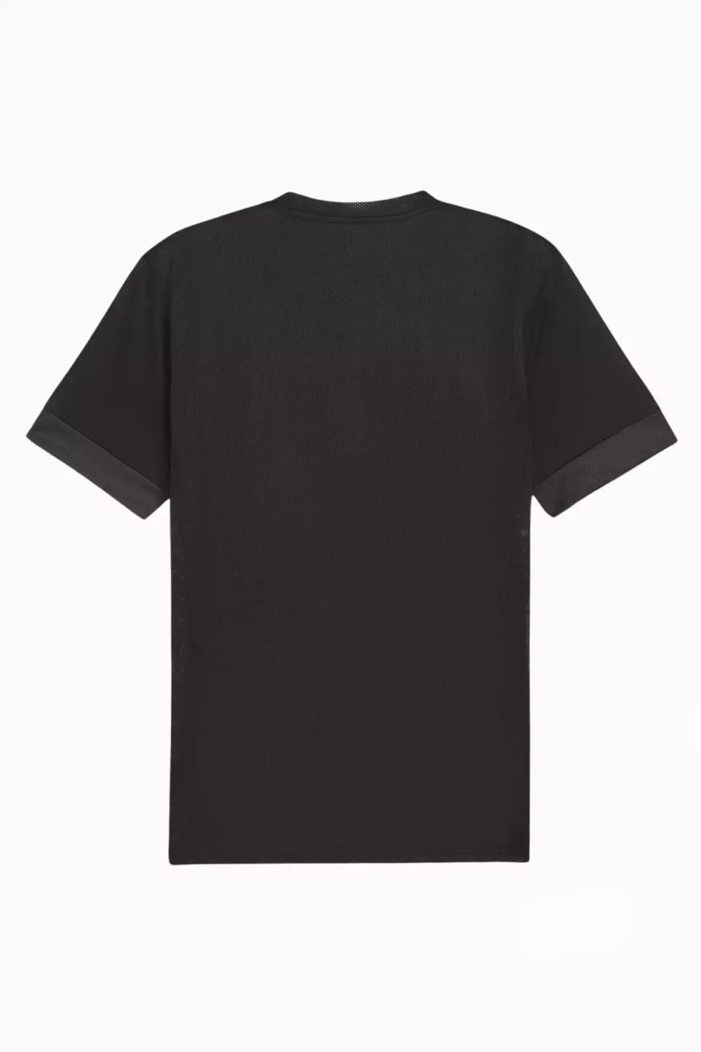 Футболка Puma teamGOAL Matchday