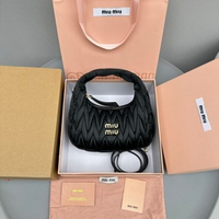 Miu Miu Wander Hobo Bag 20 cm