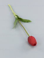 Тюльпан силикон VIP красный