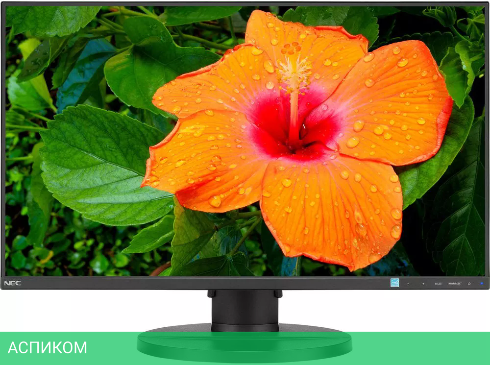 Монитор NEC MultiSync E271N-BK