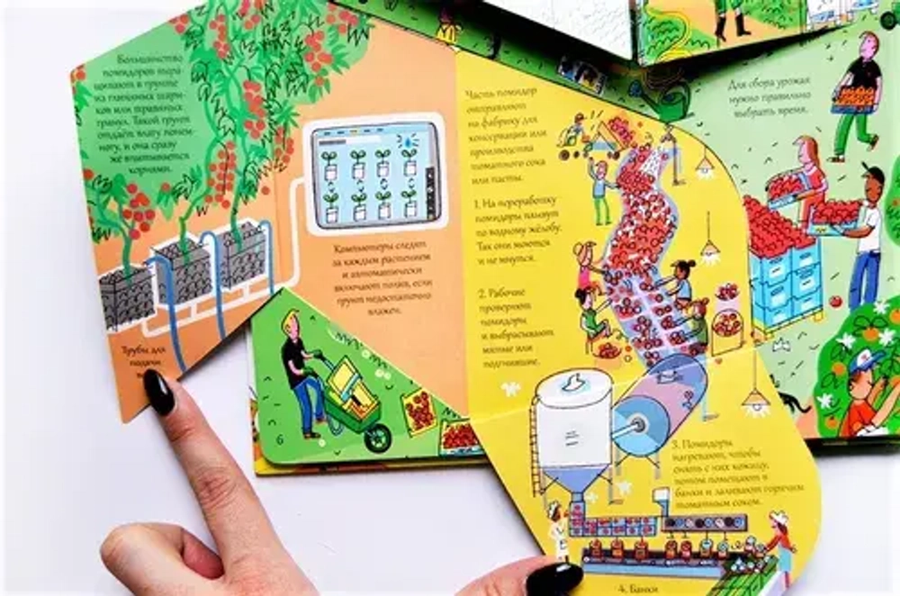 Открой тайны еды