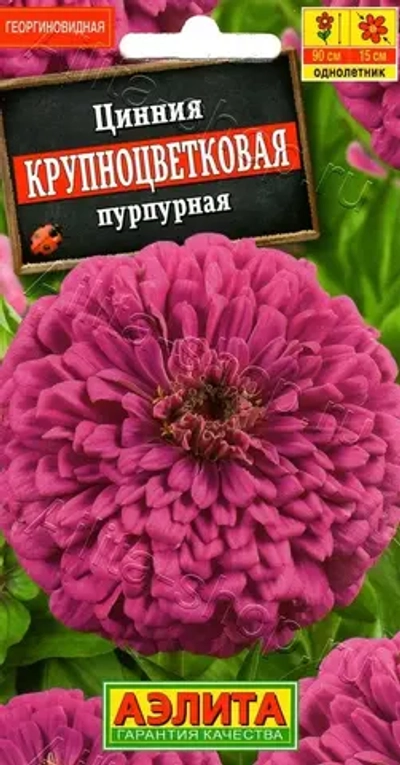 Цинния Крупноцветковая пурпурная 0,3г (Аэлита)
