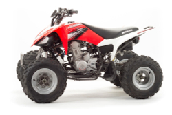 Квадроцикл MOTOLAND 250S