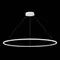 ST604.543.46 Светильник подвесной ST-Luce Белый/Белый LED 1*46W 4000K Подвесные светильники