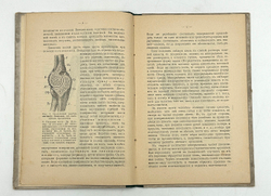 Шмейль О. Человек. Основы учения о человеке и его здоровье. СПб.: Изд. Тенишевского училища. 1908