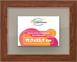 Рамка 17,7x23,7 для постера и фотографий