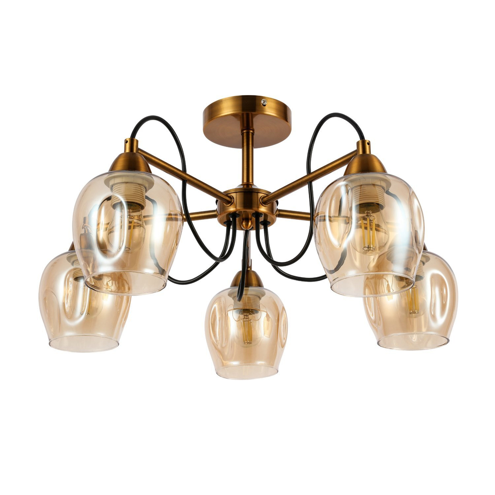 Светильник потолочный Evoluce Acro SLE110002-05