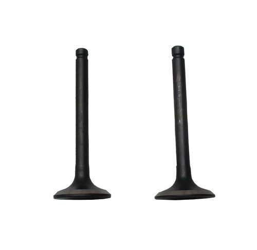 Клапаны (пара) LC165F-3H/500550092-0001