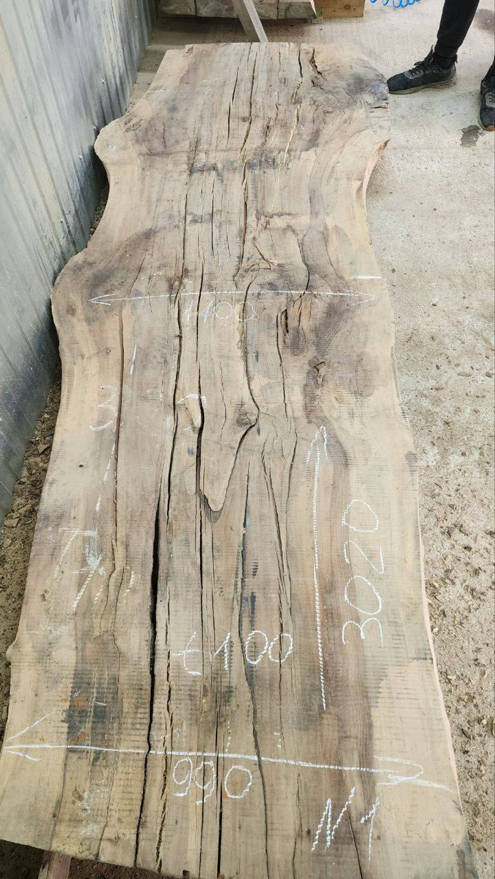 Бук 301×99×10