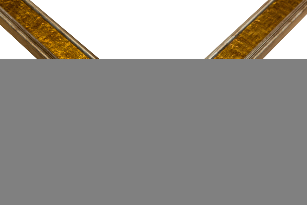 Рама 35x70 для картин и фотографий RP0561550-21