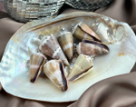 Подвеска "Ракушка" (в ассортименте)