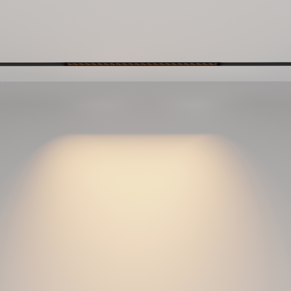 Магнитный трековый светильник Maytoni Points TR031-2-24W2.7K-B