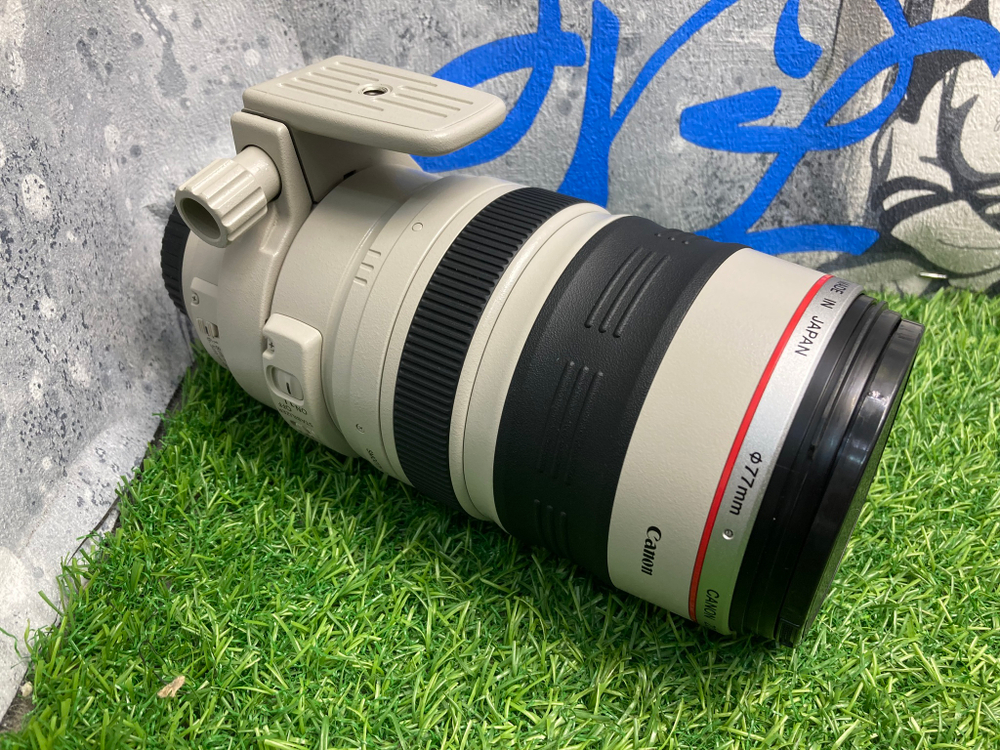 Canon EF 100-400mm 4.5-5.6L IS USM