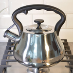 Чайник 2,8л нерж со свистком, зеркальный, нейлон, индукция, "Daniks" GS-04052A