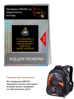 Ранец GROOC 9-148 + пенал + мешок + сумка-пенал