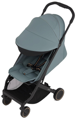 Детская прогулочная коляска Anex Air-X2 Sky