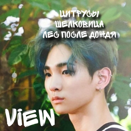Shinee - "View"